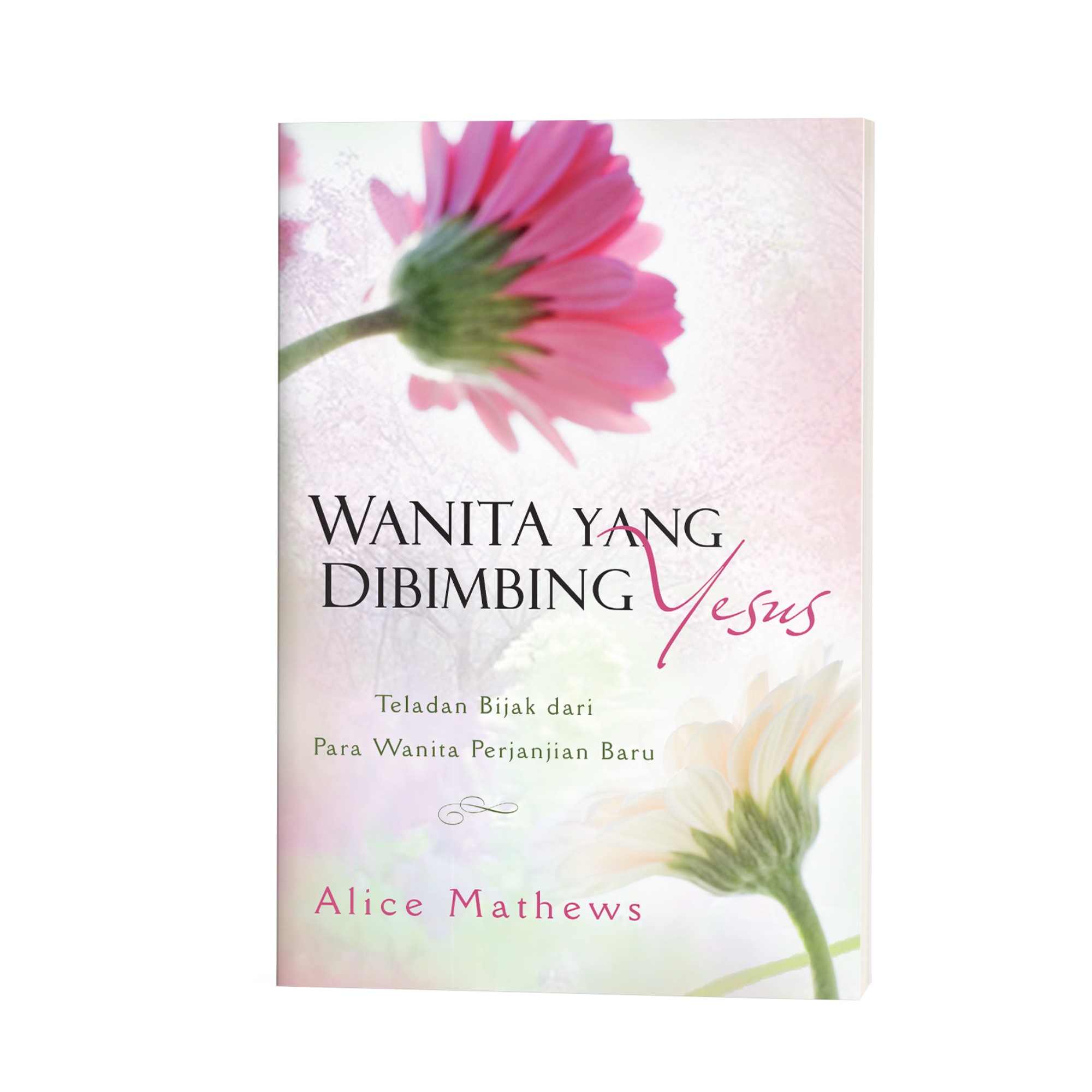 Wanita Yang Dibimbing Yesus