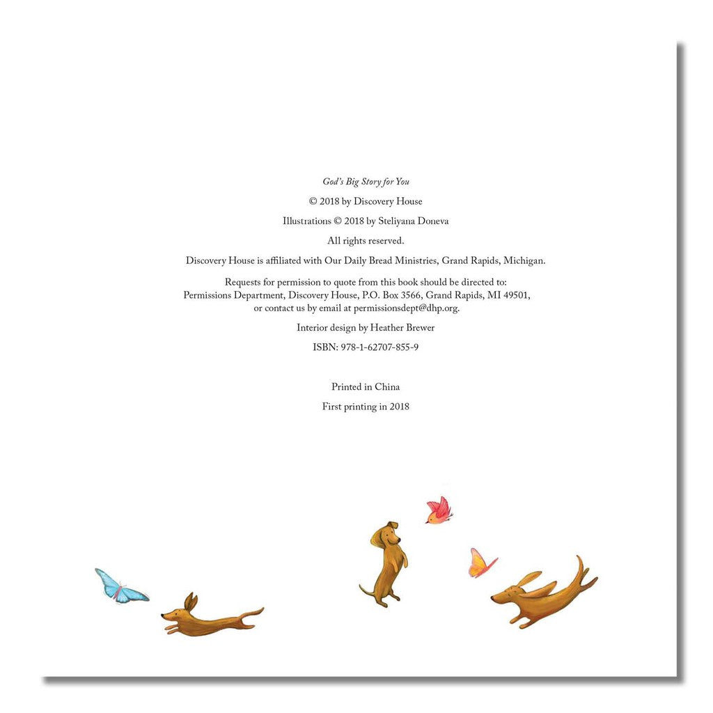 God's Big Story for You