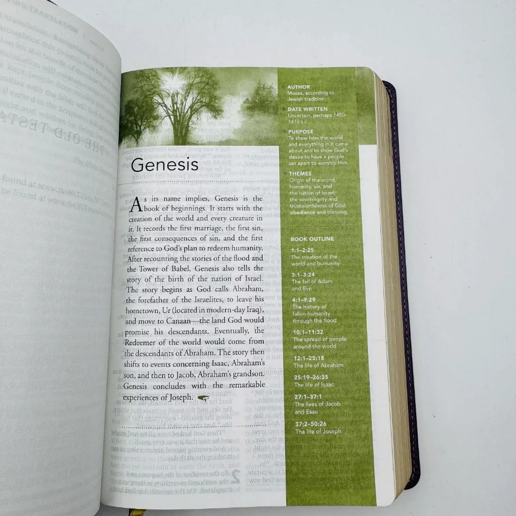 NLT Our Daily Bread Devotional Bible, Eggplant: New Living Translation, Eggplant, LeatherLike