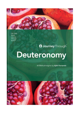 Journey Through Series - Deuteronomy